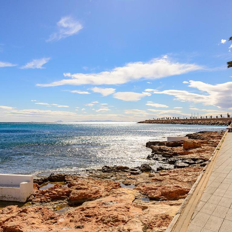 MARINASUNBEACH PISCINAS NATURALES - Apartamento de 1 dormitorio - 5