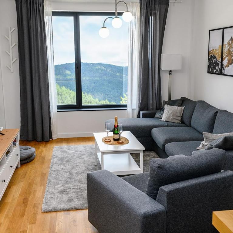 Aspectus apartmani Divcibare - Apartman sa 1 Spavaćom Sobom - 11