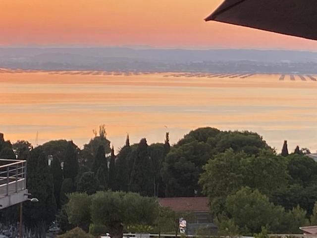 1,5 km plages Bel appartement calme Piscine Garage - Appartement avec Terrasse - 3