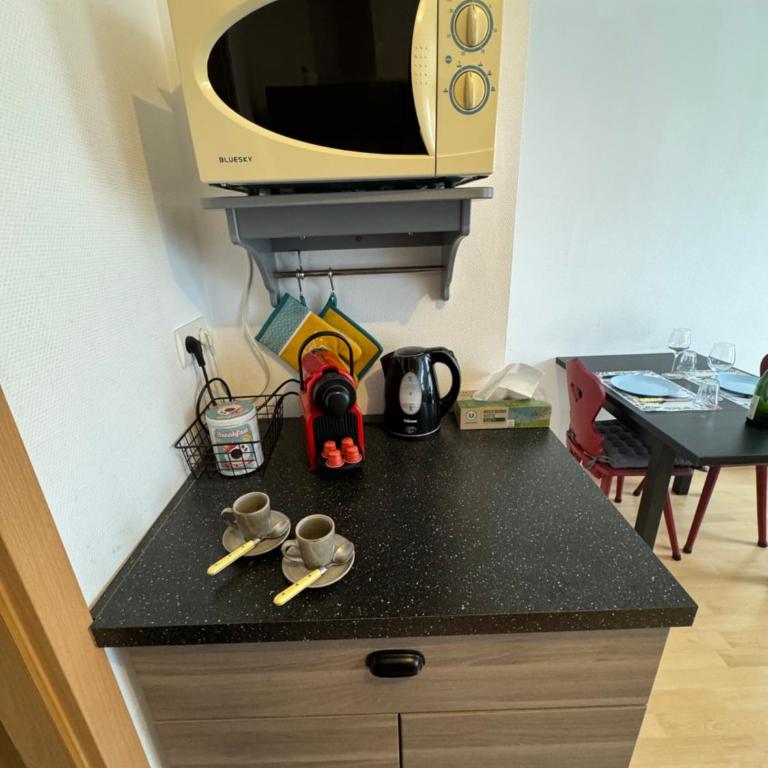 Le "Petit Colmarien" à 1mn du centre - Appartement 1 Chambre - 10