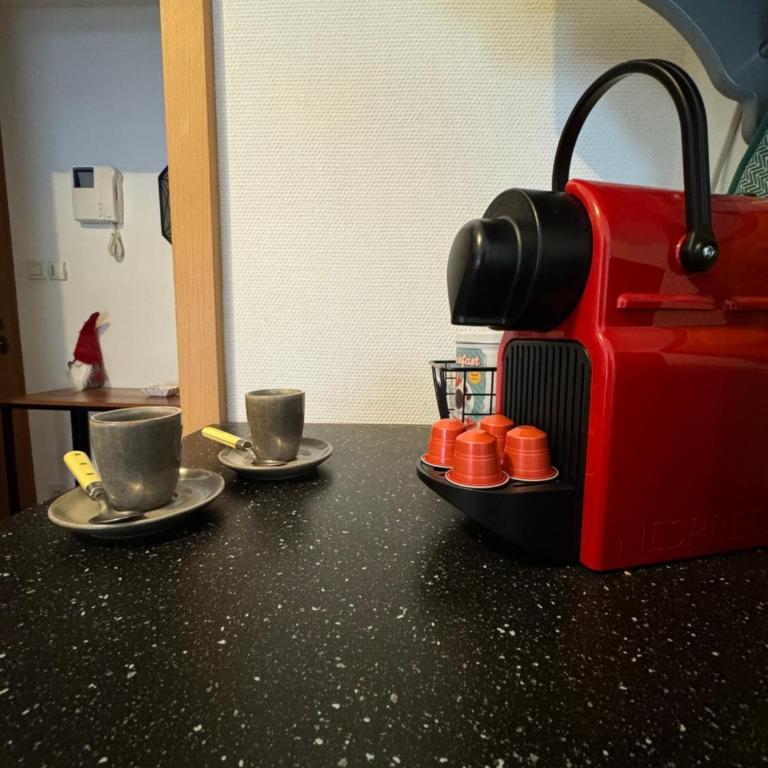 Le "Petit Colmarien" à 1mn du centre - Appartement 1 Chambre - 11