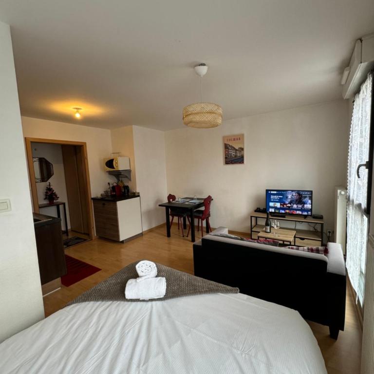 Le "Petit Colmarien" à 1mn du centre - Appartement 1 Chambre - 4