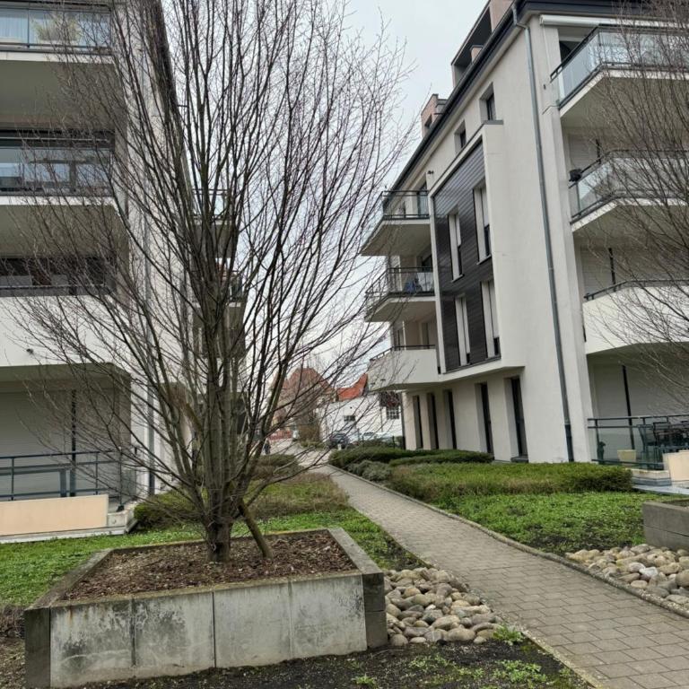 Le "Petit Colmarien" à 1mn du centre - Appartement 1 Chambre - 15