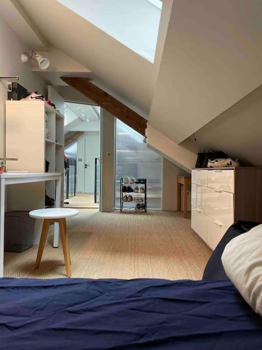 Appartement Loft centre ville situé dans rue calme - Appartement - 25