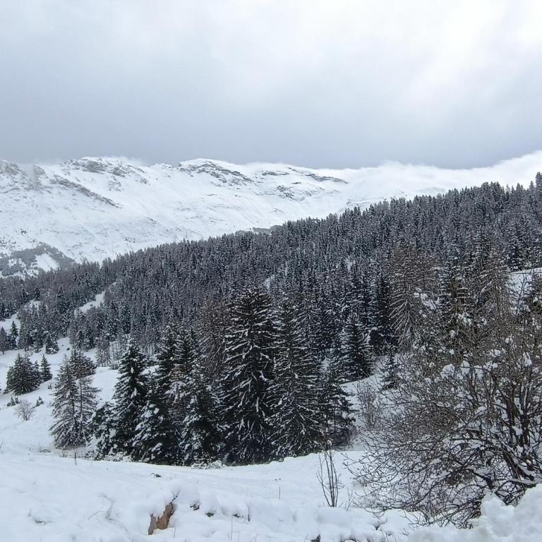 Appartement cosy dans chalet vue Montagne - Two-Bedroom Apartment - 9