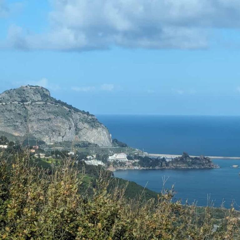 Seawoods - Nature Experience - Villa con 2 Camere da Letto - 4
