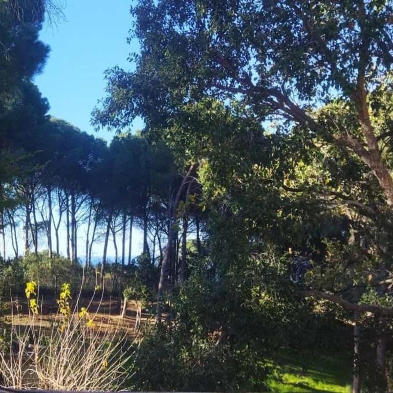 Seawoods - Nature Experience - Villa con 2 Camere da Letto - 3