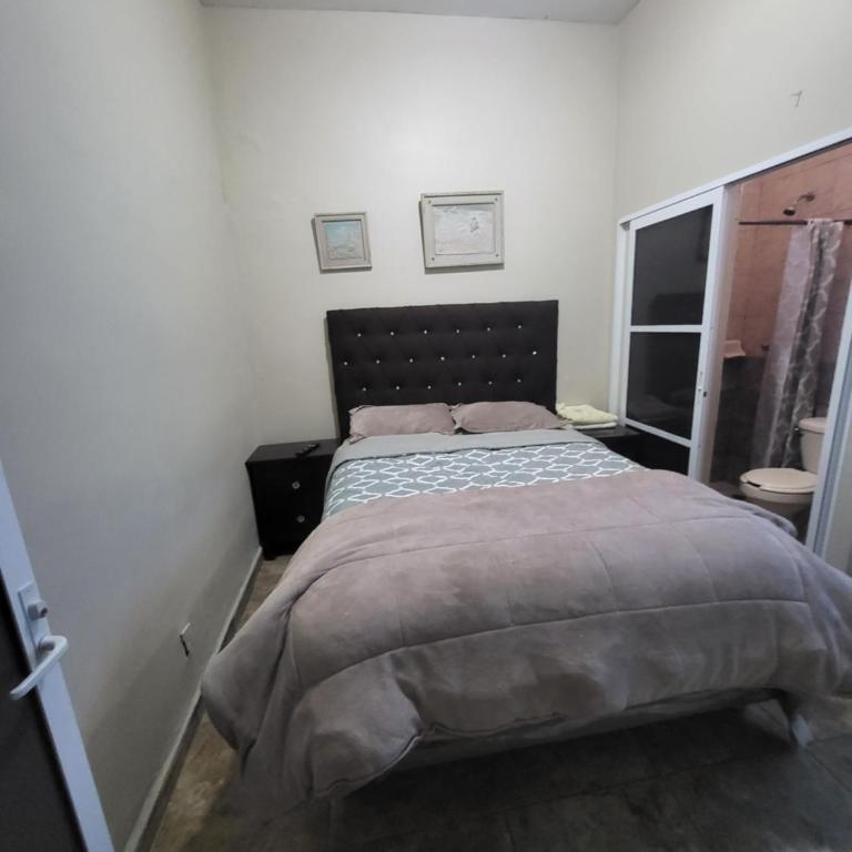 Departamentos velasco Planta baja - One-Bedroom Apartment - 11