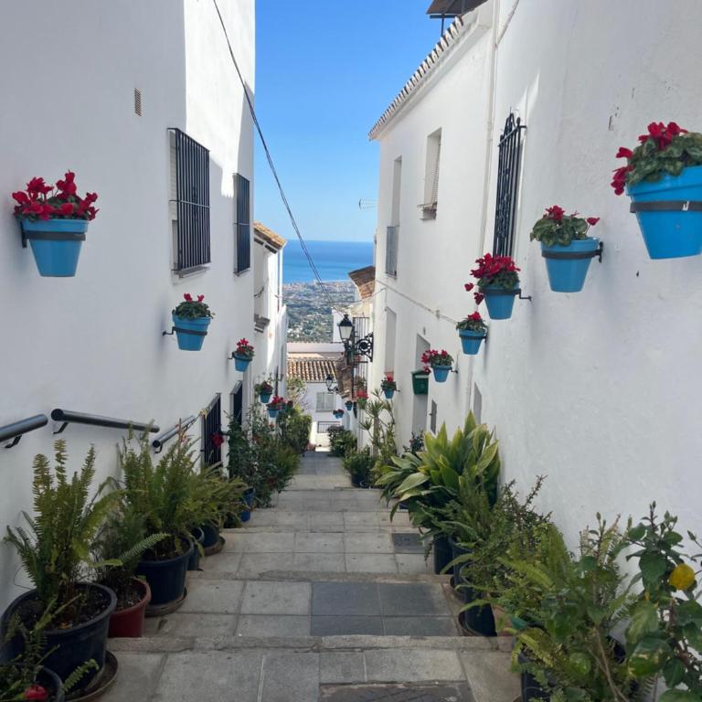 ALMAFUERTE - Apartamento de 1 dormitorio - 42