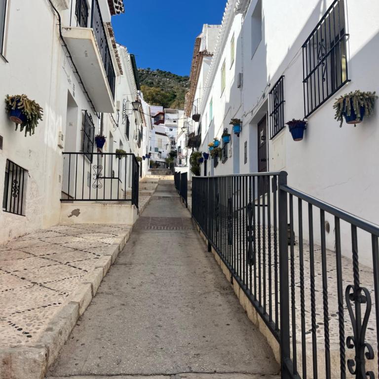 ALMAFUERTE - Apartamento de 1 dormitorio - 41