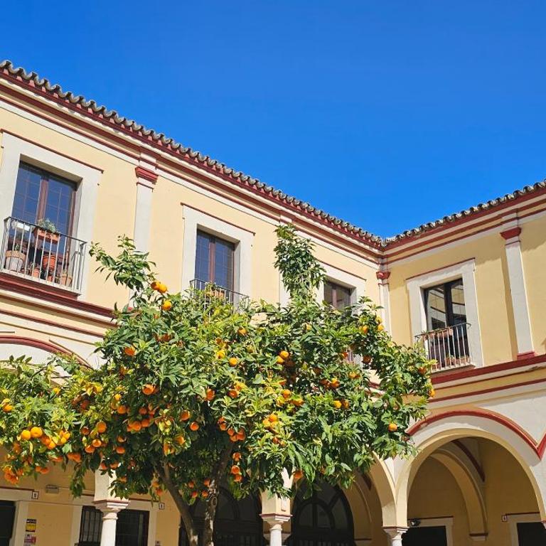 Tartaneros Duplex by Sanlúcar Housing - Apartamento de 3 dormitorios - 13