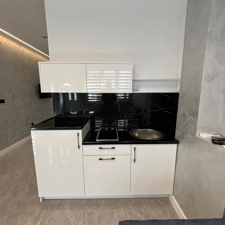 MT Apartment - One-Bedroom Apartment - 5