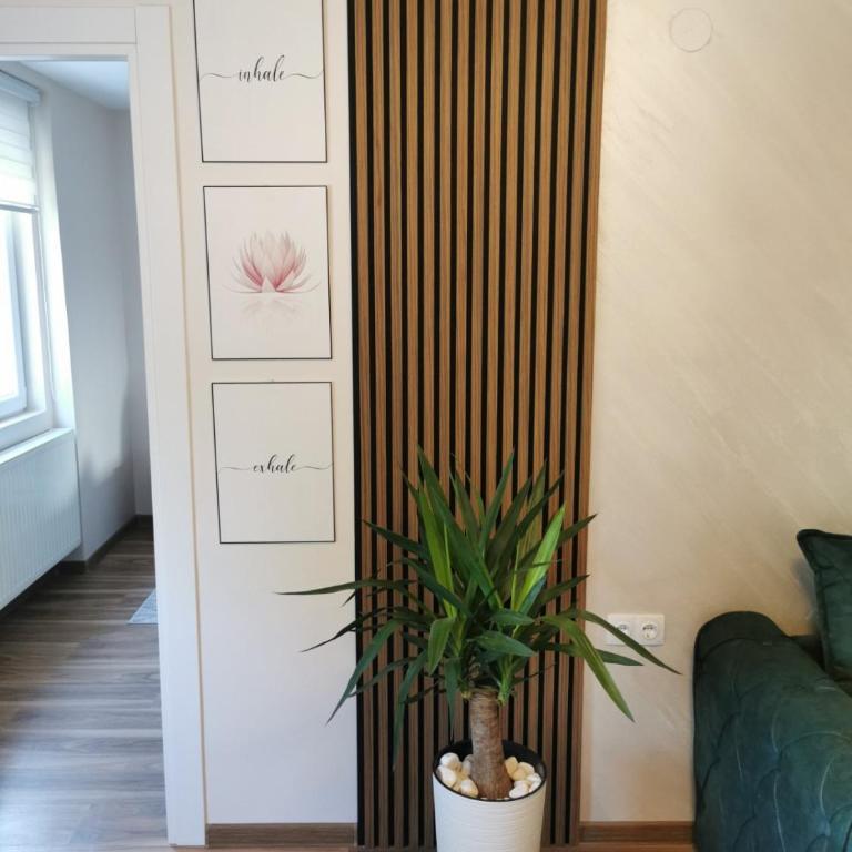 Apartman Bonsai - One-Bedroom Apartment - 4