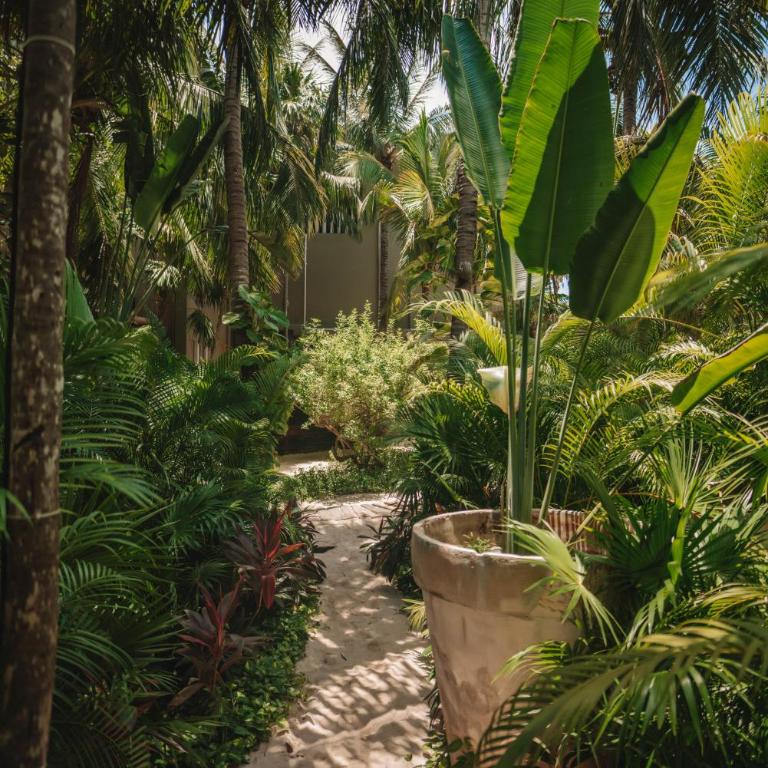 Casa Malca - Suite Junior con vistas al jardín - 2