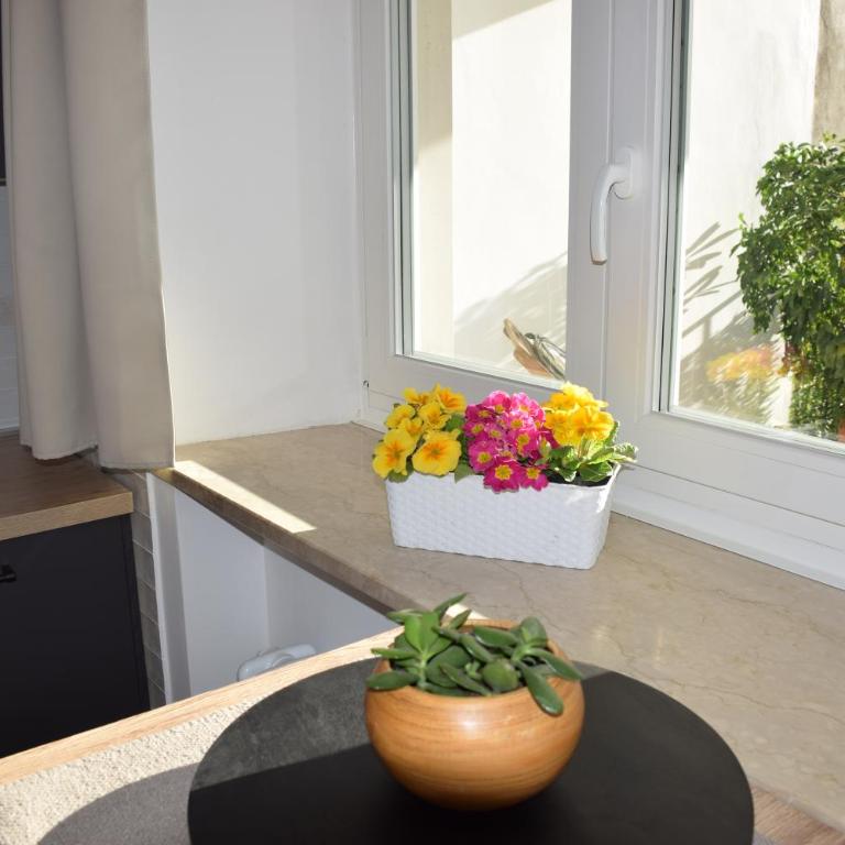 Casa Fornace - Monolocale con Terrazza - 13