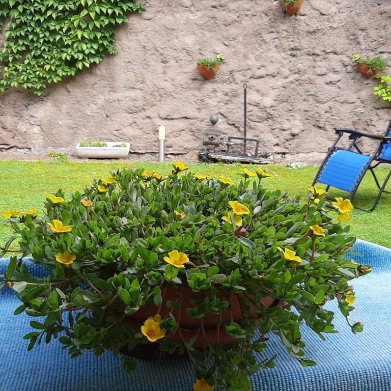 Casa Fornace - Monolocale - 1