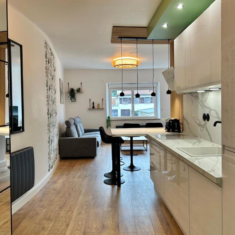 Le Chardon Nancy- 2 chambres- parking gratuit- proche transports et Zénith - Appartement 2 Chambres - 8