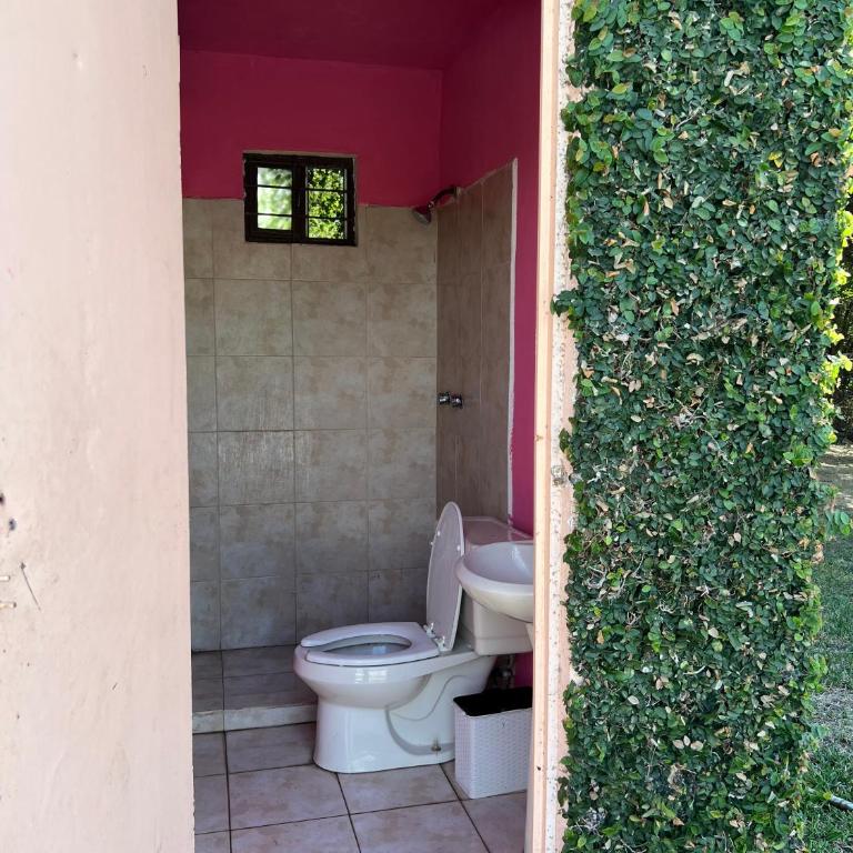 Quinta don juanito - Two-Bedroom House - 5