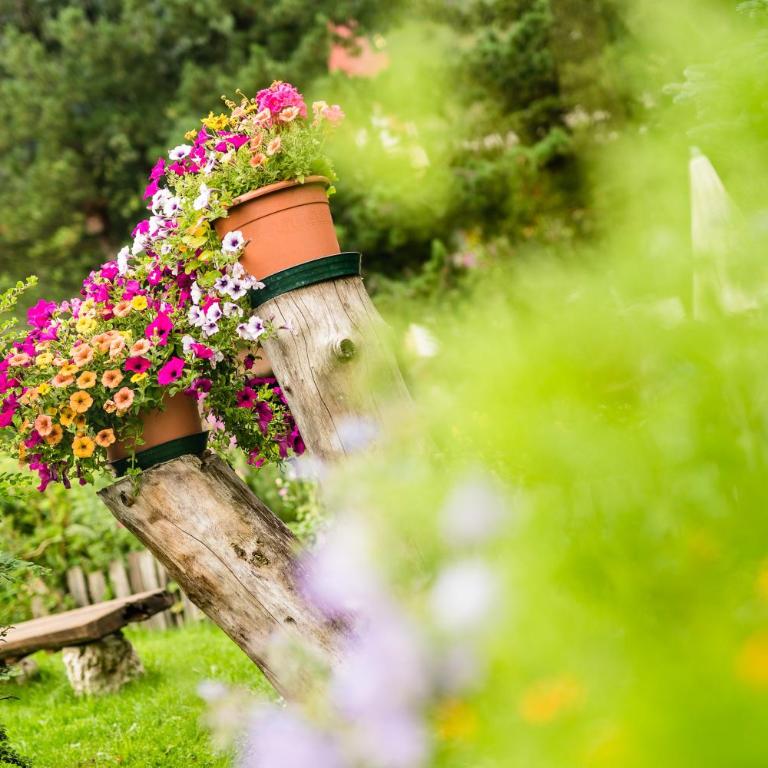 Hotel Dorfer Alpine&Charming - Camera Singola Comfort - 3
