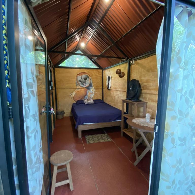 Xkopek, Camping y Cabañas - Tienda - 3