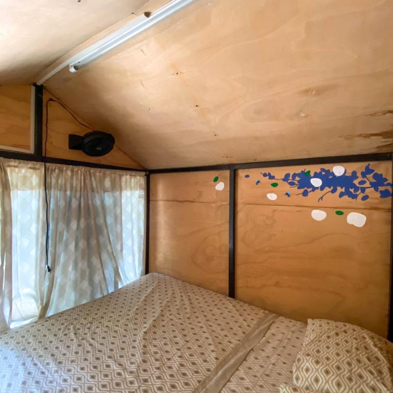 Xkopek, Camping y Cabañas - Tienda - 3
