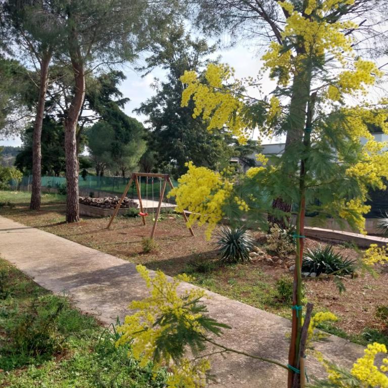 Al Pineto San Matteo - Casa con 1 Camera da Letto - 13