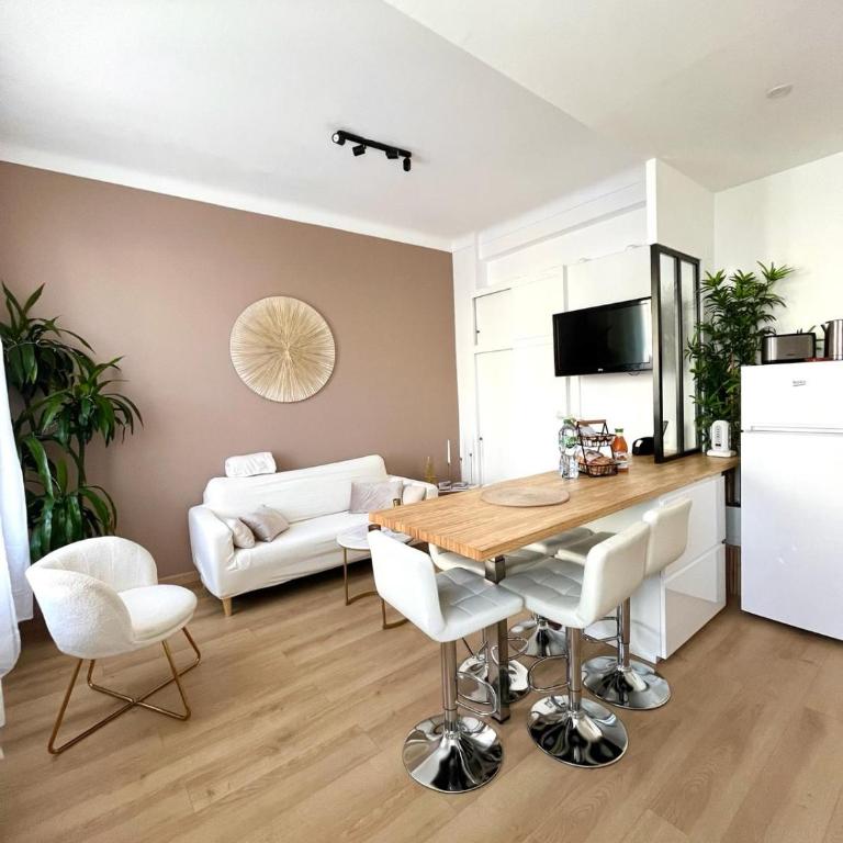 Nice - Appartement T3 rénové de 50 M2 classé 2 étoiles - Appartement 2 Chambres - 1