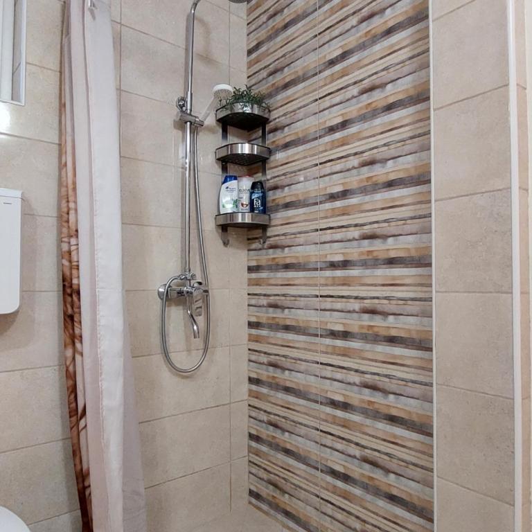 Street apartment - One-Bedroom Apartment - 15