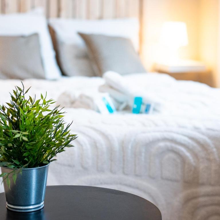Le Clocher - Quai De La Loire - Netflix - One-Bedroom Apartment - 11