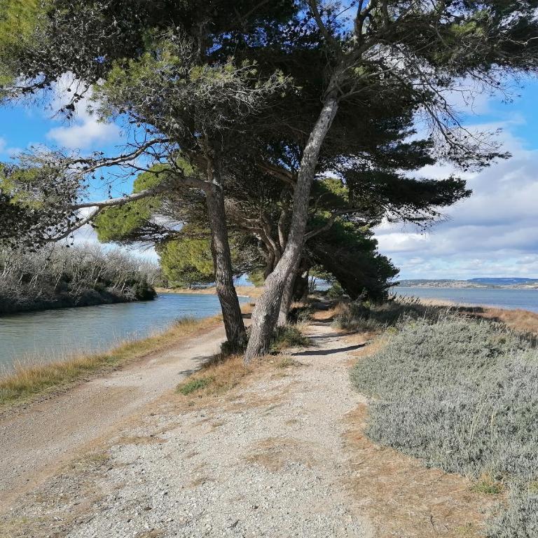 Entre Mer et Roseaux - Piscine chauffée - Proche centre et mer - Animaux bienvenus - Mobile Home - 18