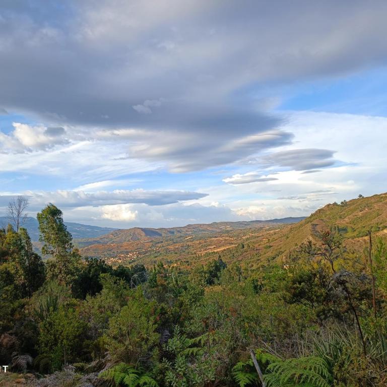 Casa Campestre Buenavista, espacio natural - Casa de 3 dormitorios - 26