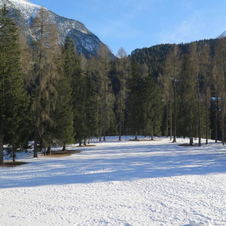 Apartment Scuol - Apartment mit Blick auf die Berge - 11