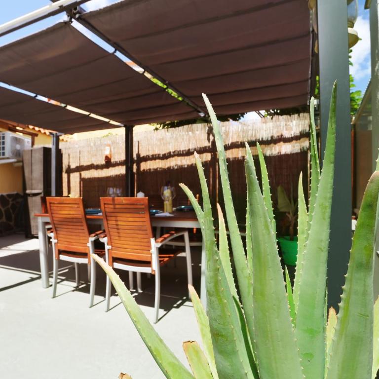 GARDEN HOUSE - Two-Bedroom Bungalow - 31
