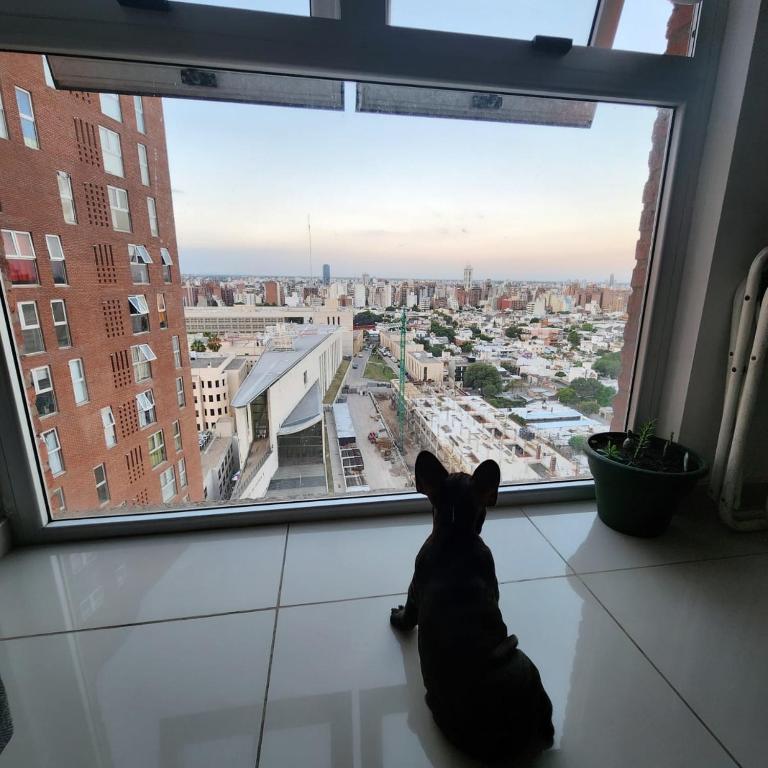 Eddie-House - Apartamento de 1 dormitorio - 12