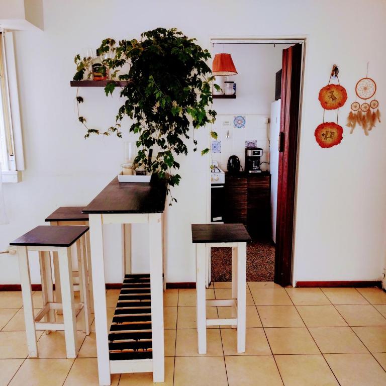 Estudio Atelier Caballito - Apartamento Estudio - 2