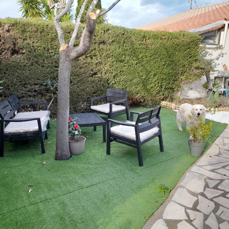 Maison fleurie quartier calme st Cyprien - Ferienhaus - 3