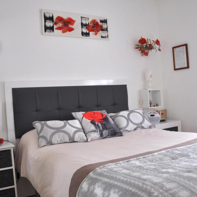 RNET - Nautilus Santa Margarida Roses - Apartamento con terraza - 15