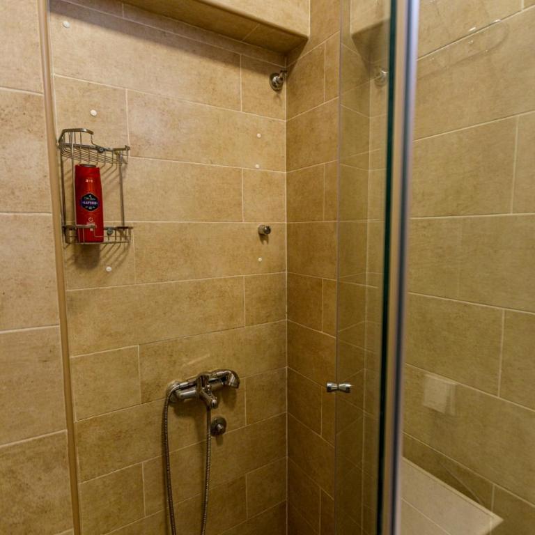 Oldest House Belgrade - Apartman sa 1 Spavaćom Sobom sa Pogledom na Grad - 8