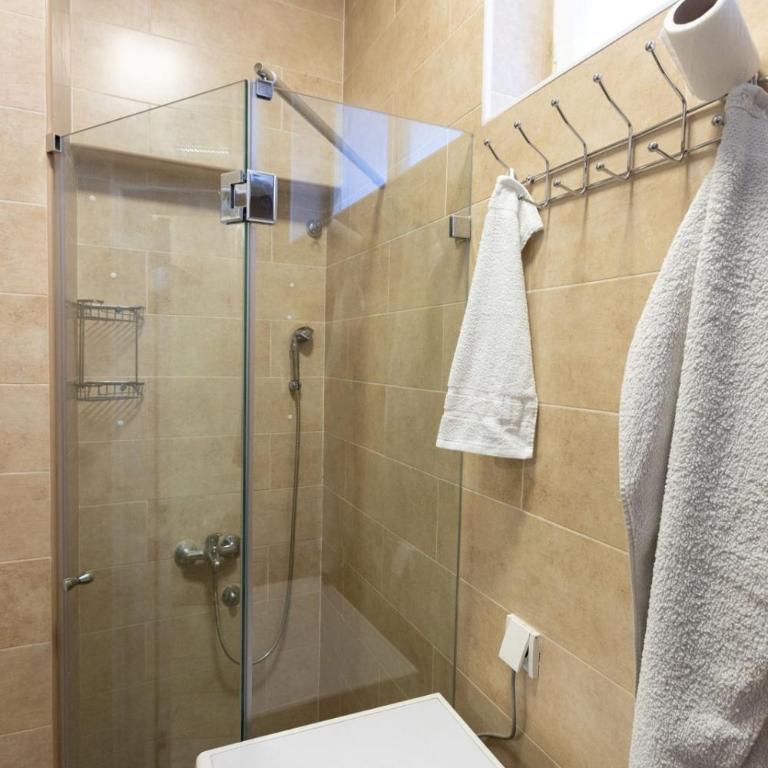 Oldest House Belgrade - Apartman sa 1 Spavaćom Sobom sa Pogledom na Grad - 9