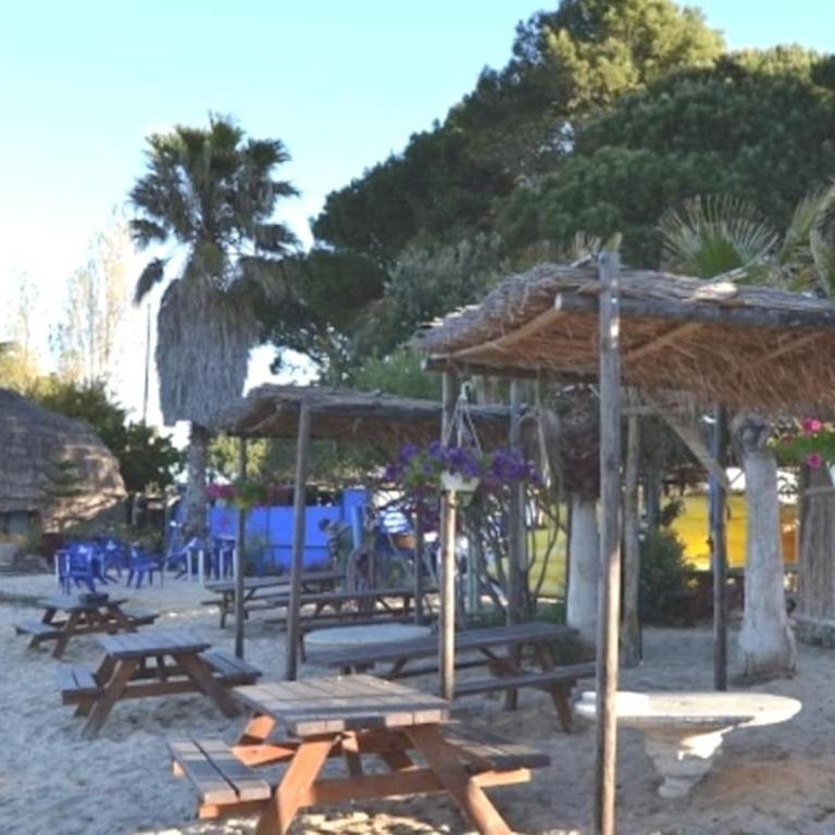Unique appartement standing 70m2 !entre lagune port animé et à 2mn de la plage - Appartement 2 Chambres - 77