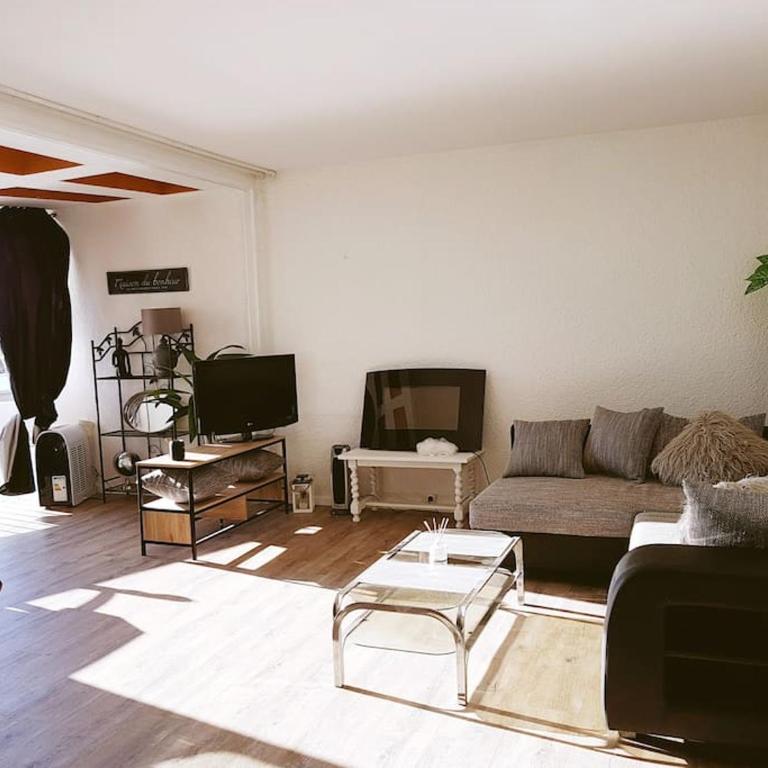 Unique appartement standing 70m2 !entre lagune port animé et à 2mn de la plage - Appartement 2 Chambres - 17