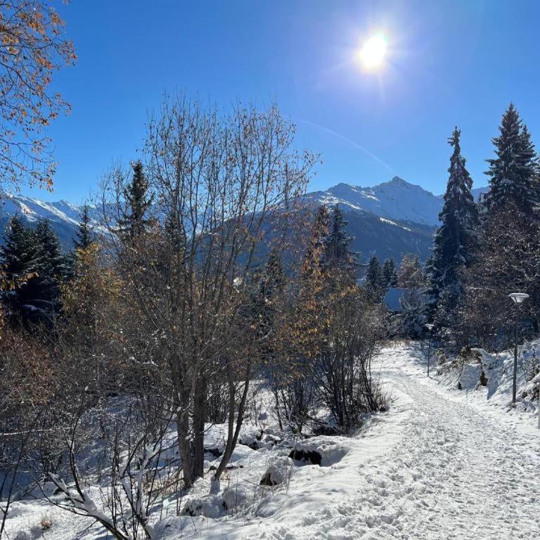 Cosy studio for 4 near ski lift, HAMEAU C13 - One-Bedroom Apartment - 29