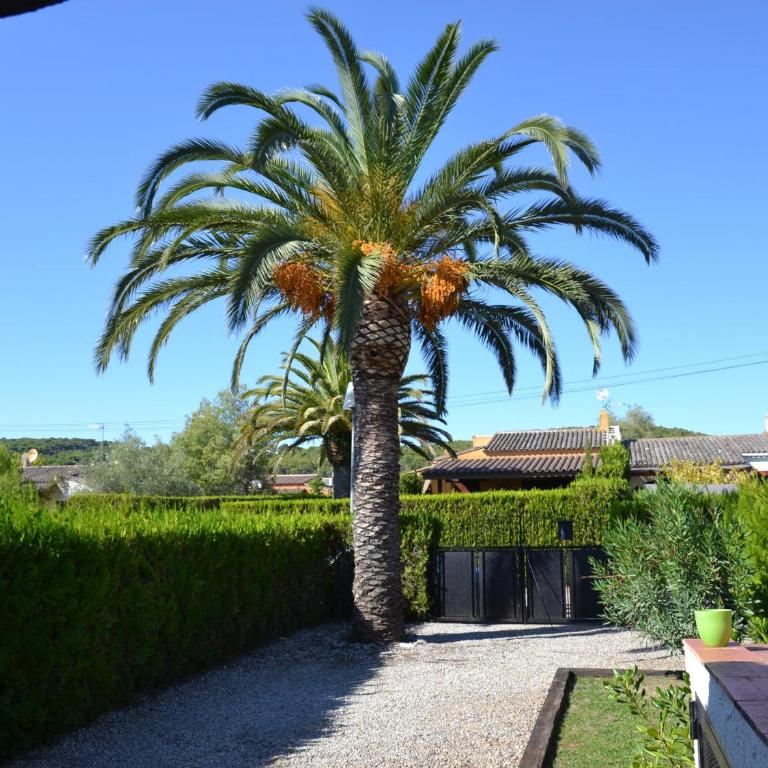 Casa con Jardín, Piscina y Terraza a 3 km de la Playa de L'Estartit - ES-323-1 - Vacation Home - 11
