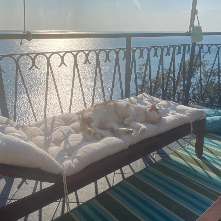 il Nido sul mare con accesso diretto alla spiaggia - Casa Vacanze - 39