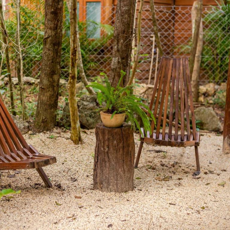 Madre Tierra Eco Habitat - Single Room - 5