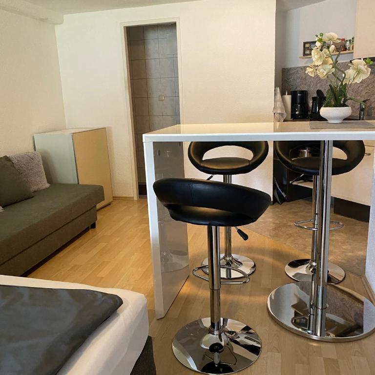 Charmante, ruhige Wohnung in Innsbruck - Studio mit Schlafsofa - 3