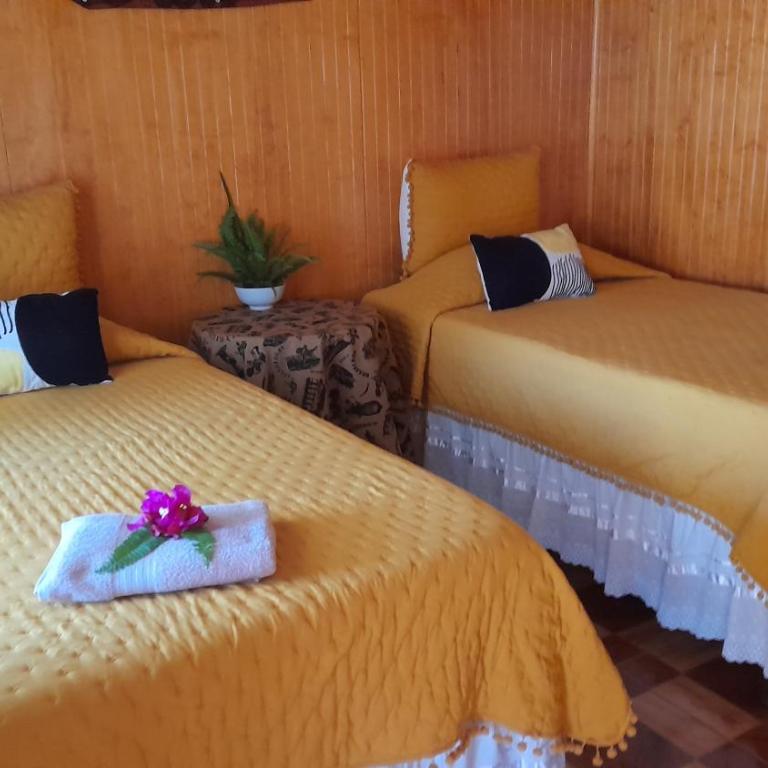 Hostal Makohe Rapa Nui - Habitación Doble con baño privado - 2 camas - 15