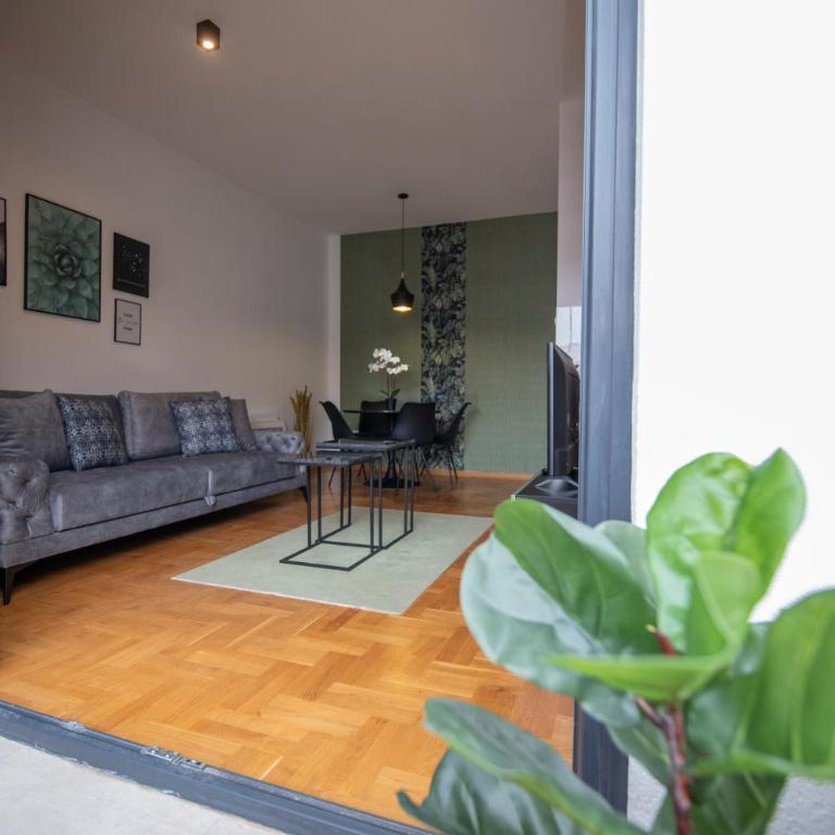 WOW Apartman u centru Trebinja - Apartman sa 1 Spavaćom Sobom - 7