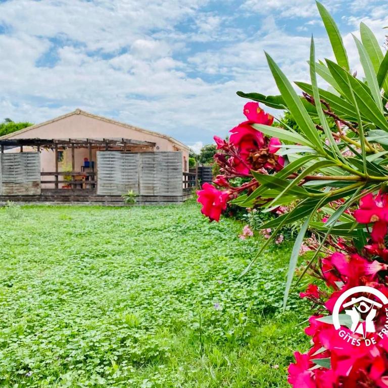 Le Cosy Occitan villa chaleureuse indépendante baignoire terrasse jardin - Casa con 1 dormitorio - 3