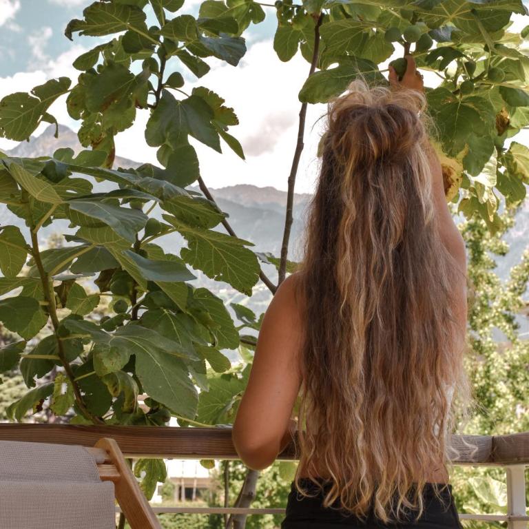 Alpimena Natur-Apartments Meran - Appartamento Superior - 5